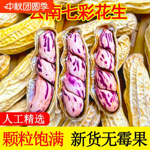 2026七彩花生晒干带壳云南特产咸干花生米牛奶花生种子籽水煮原味