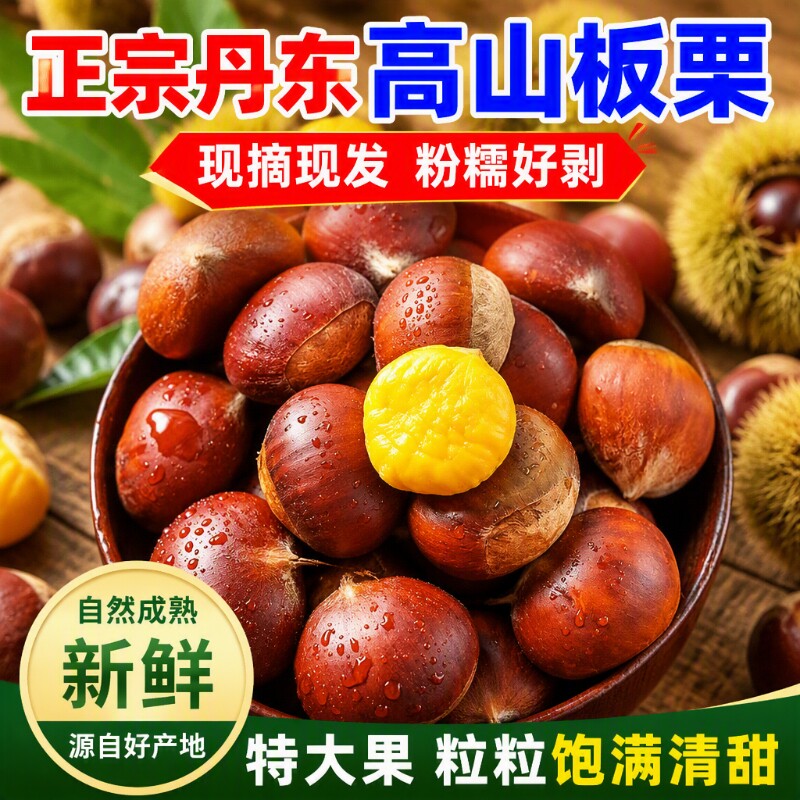 丹东板栗高山现发粉糯好剥栗子新鲜生栗农家自种鲜果老人现摘正宗
