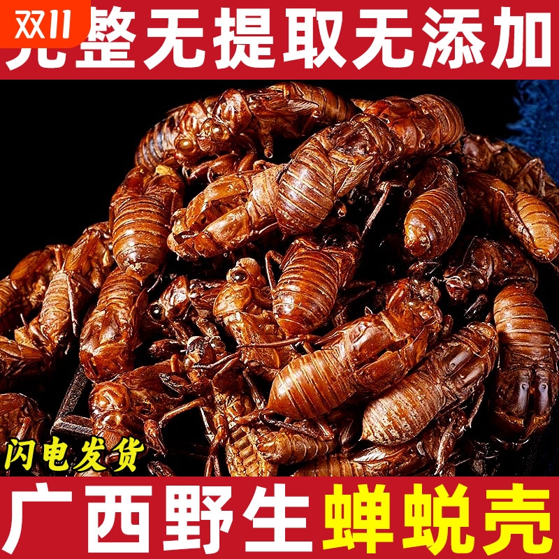 广西野生蝉蜕中药材金蝉衣 知了壳 脱壳皮金蝉壳 蝉皮 蝉退壳蝉衣