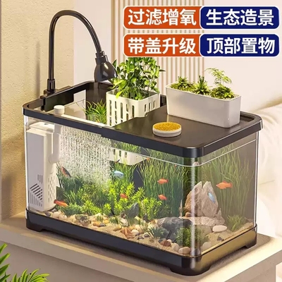 阔庭小型客厅生态桌面养鱼缸