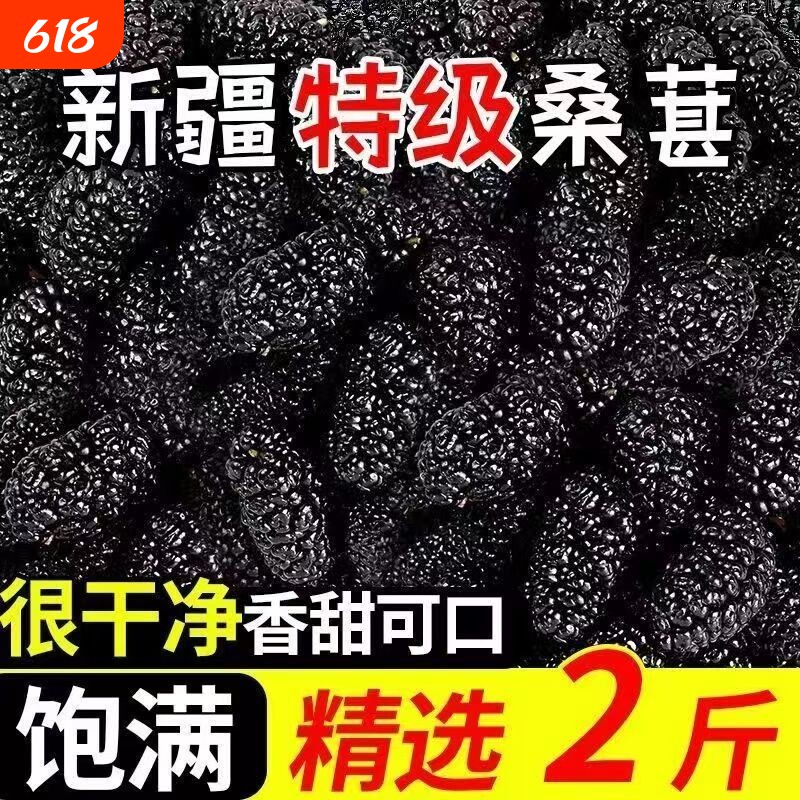 桑葚干黑桑椹特级泡水泡酒新疆自然晾干搭枸杞官方旗舰店正品新鲜