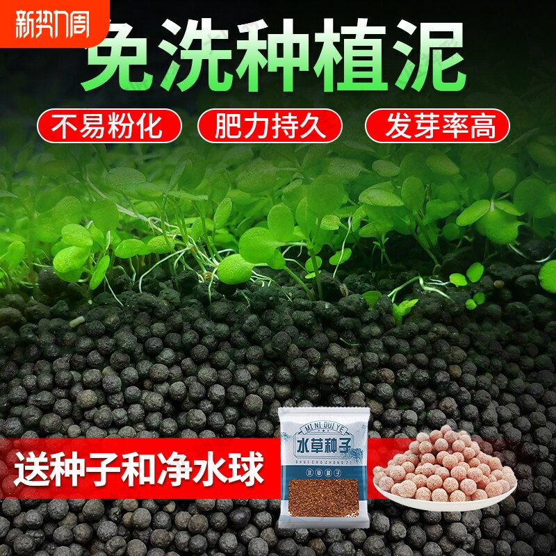 鱼缸专用水草泥种子生态鱼缸造景底部砂石免洗陶粒砂水藻泥碗莲泥