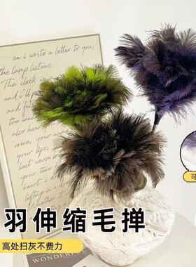 鸵鸟毛掸子可伸缩除尘掸