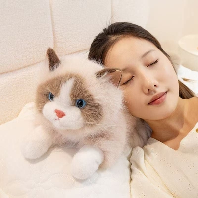 仿真小猫咪玩偶毛绒布偶