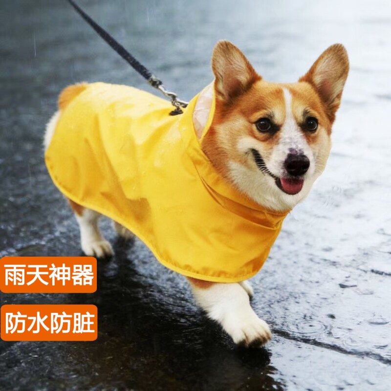 狗狗雨衣宠物雨天防水雨披专用斗篷肚兜下雨天遛狗防脏神器可爱