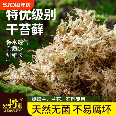 史丹利水苔蝴蝶兰专用土干苔藓