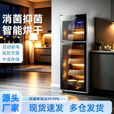 新款消毒柜商用饭店餐饮大容量双门厨房家用餐具碗筷消毒烘干碗柜
