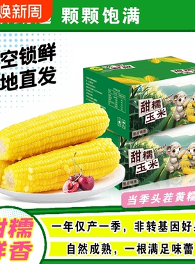 开源保丰铝箔正宗东北新鲜黄糯玉米软糯拉丝独立真空包装寒地黑土