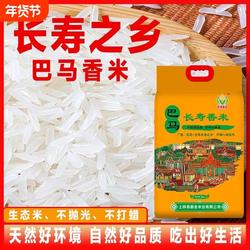 世界长寿乡【巴马香米】长粒香米猫牙米当季新米10斤大米真空送礼
