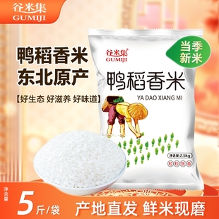 鸭稻香米5斤大米2.5kg珍珠米2025年当季 新米直发长粒谷米香稻家用