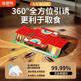 蟑螂屋家用非药无毒强力贴粘板克全窝星端诱饵盒灭诱捕杀强效神器