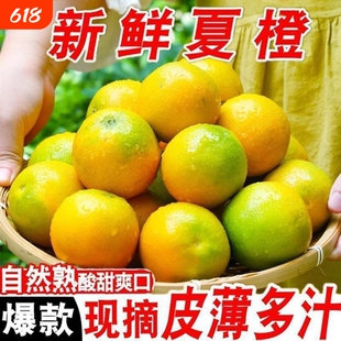 广西桂林高山夏橙现摘新鲜橙子孕妇应季水果酸甜爆汁榨汁整箱包邮
