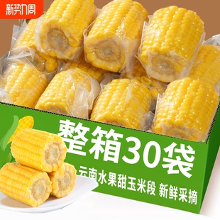 水果玉米4 熟甜玉米粒代餐宿舍零食整箱 6CM开袋即食品真空袋装