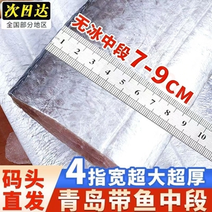 带鱼新鲜冷冻刀鱼段中段无冰特级东海小眼海鱼整箱10鲜活水产精品