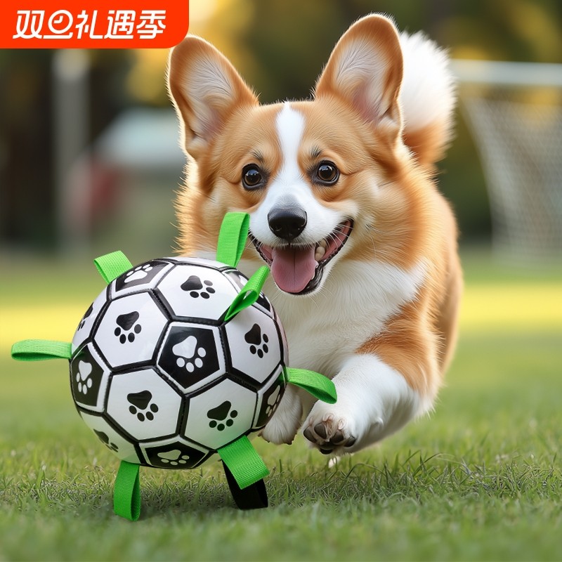 狗狗玩具球耐咬磨牙足球训狗专用球宠物用品解闷神器狗柯基边牧
