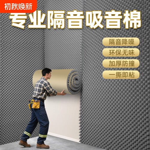 【顺丰发货】卧室家用隔音神器