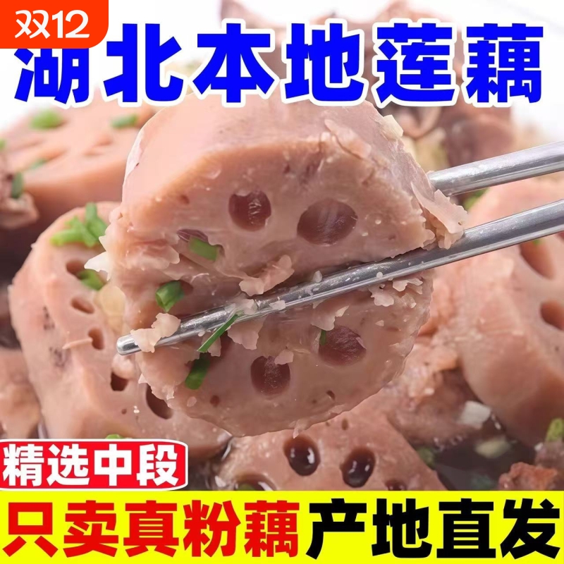 湖北粉藕现挖现发莲藕