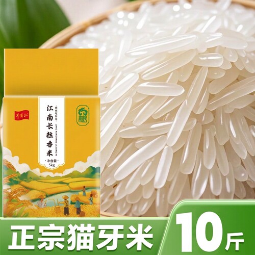 猫牙米长粒香米官方大米新米泰国香米丝苗米油粘10斤食用富硒籼米
