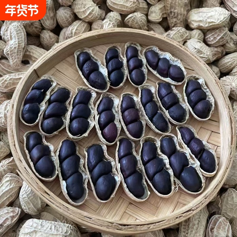 2025年新货云南黑花生带壳富硒黑花生普洱黑花生种黑皮花生米