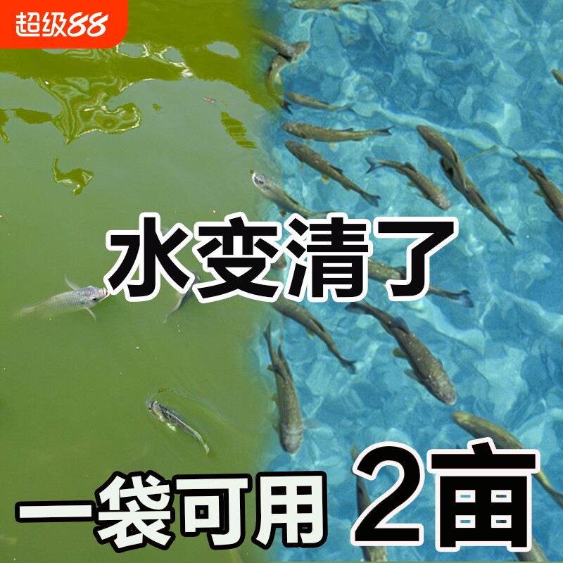 鱼塘除铁锈剂除绿藻水除藻浊清水质净化剂虾消毒杀菌S池塘养殖