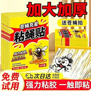 苍蝇贴家用强力粘蝇板自带诱捕诱饵高效粘捕粘蚊虫实用灭蝇神器