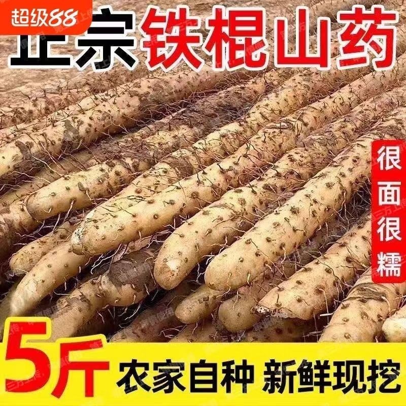 正宗铁棍山药铁棍山药新鲜怀山药软糯香甜产地直淮山药
