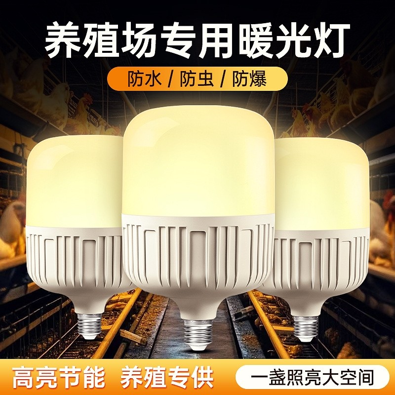 暖光led灯泡e27螺口家用黄白光高富帅球泡灯室内节能三色养殖场
