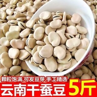蚕豆干货农家干货批发粒生干蚕豆特产胡豆生蚕豆农家佛豆生干货