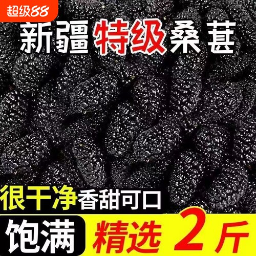 桑葚干黑桑椹特级正品官方旗舰店泡水泡酒新疆自然搭枸杞新鲜无沙