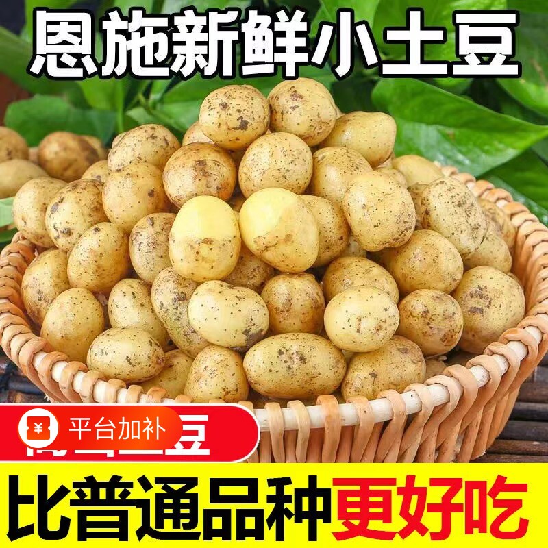 富硒土豆恩施小土豆新鲜现挖黄心土豆马铃薯洋芋粉糯沙面批发