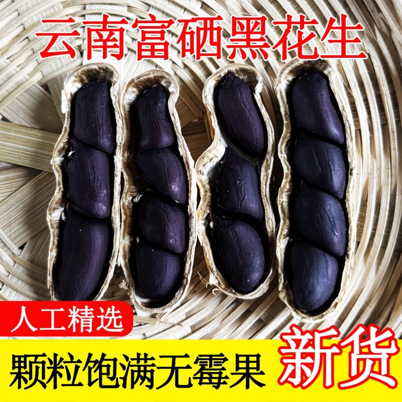 云南黑花生新货带壳富硒晒干普洱特产2025年黑皮花生米健康好吃