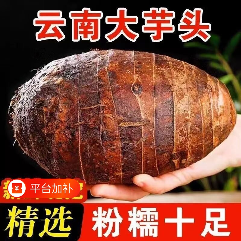 精品大芋头新鲜农家自种硕大饱满肉质细腻地道食材多种吃法可选