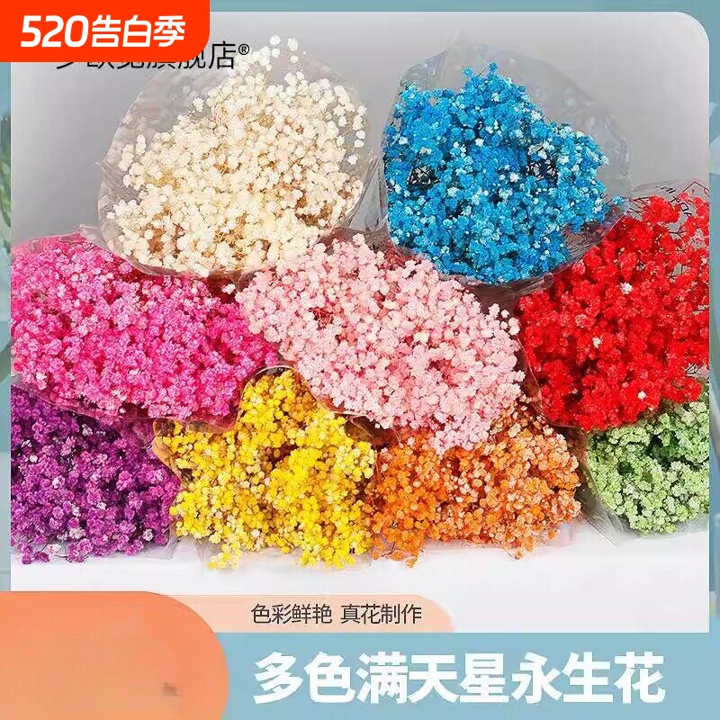 永生花满天星 工厂直供干花120g满天星干花云南基地干花花束