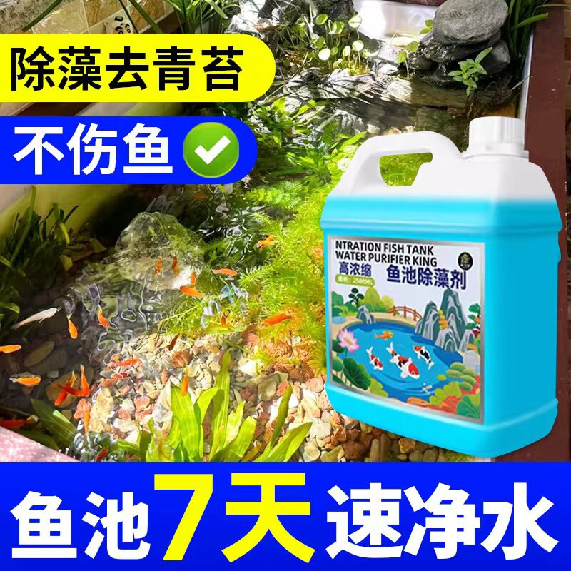 高浓缩鱼池除藻剂室外绿藻绿水黑水水质净化剂消毒杀菌除臭净水剂