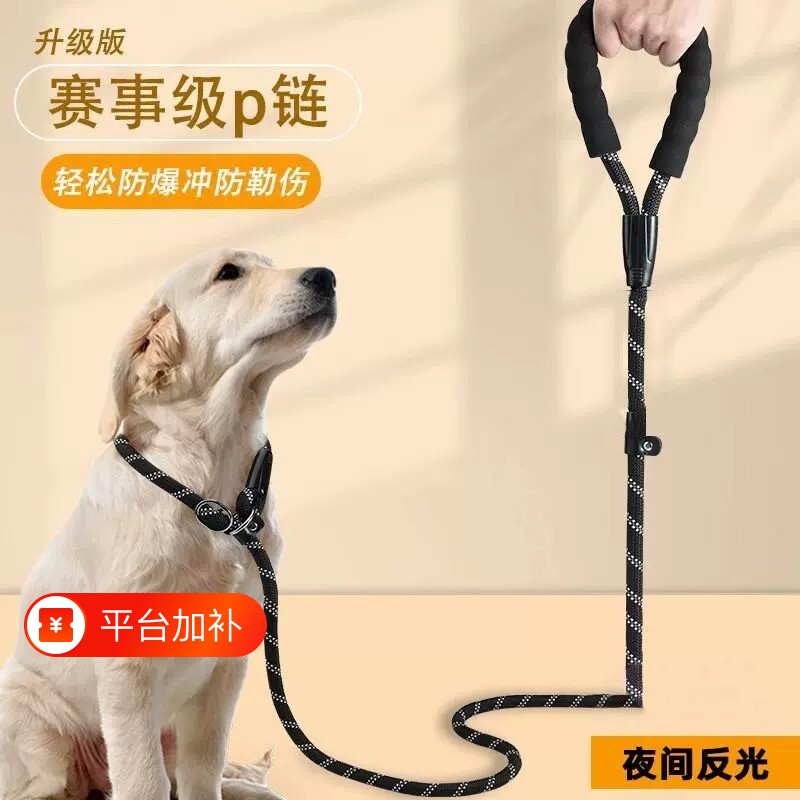 遛狗牵引绳防爆冲p链金毛泰迪训练狗链可伸缩小项圈一体式防咬