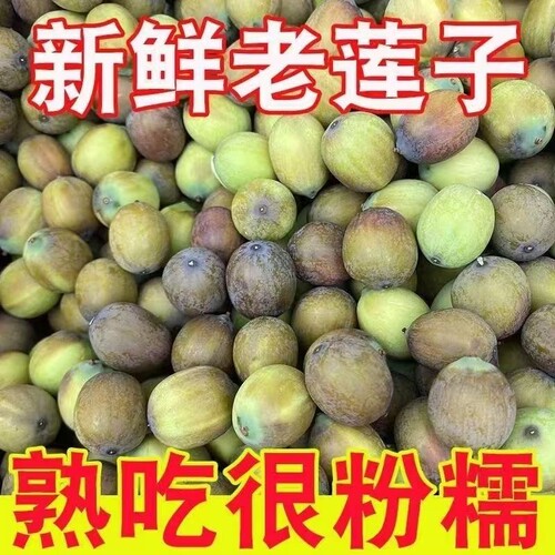 湖北老莲子米新鲜手工剥成熟粉开口莲子现摘壳莲子当季蔬菜煮粥