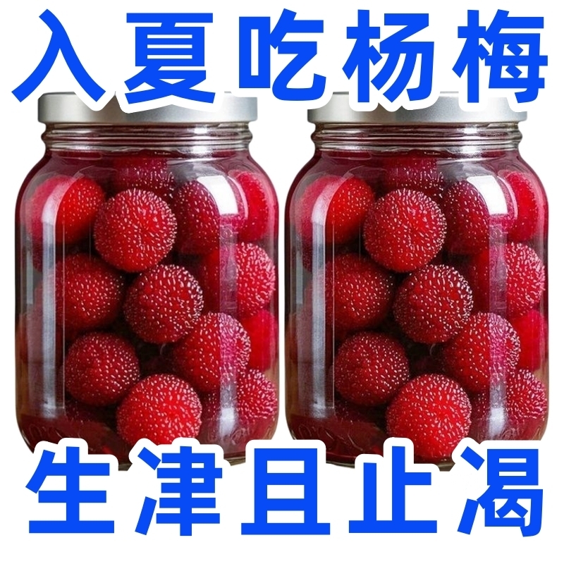 新鲜杨梅罐头大罐当季现摘大果无核鲜果水果罐头糖水商用烘焙原料