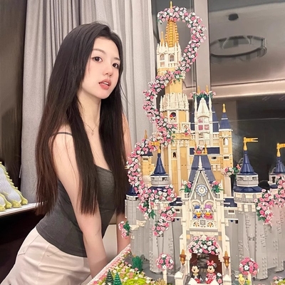 【公主专属礼物】迪士尼城堡积木