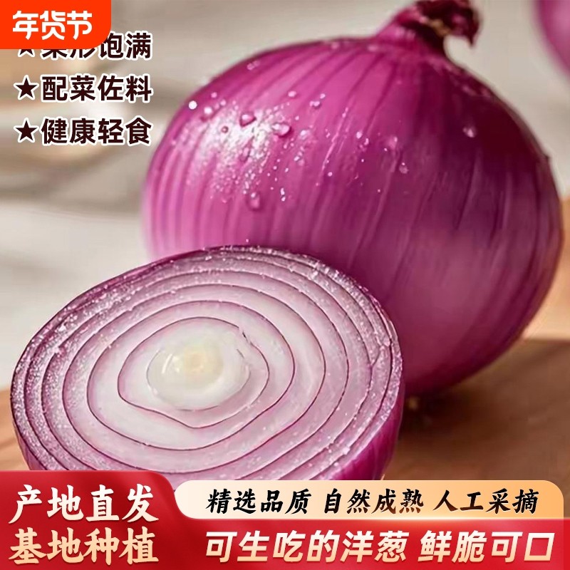 新生紫皮洋葱生吃脆甜应季新鲜生鲜蔬菜 健康轻食沙拉拌面酱 5斤,水产肉类/新鲜蔬果/熟食,洋葱/红葱头,淘宝优惠券,粉丝福利购,淘宝优惠卷