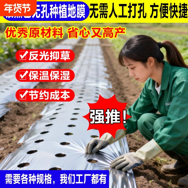银黑色打孔种植地膜保温加厚大棚塑料薄膜种菜农用种植地膜,鲜花速递/花卉仿真/绿植园艺,塑料薄膜,淘宝优惠券,粉丝福利购,淘宝优惠卷