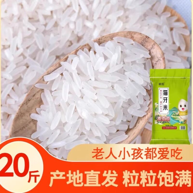 南方大米丝苗米10斤/20斤新米晚稻米猫牙香米长粒米饭袋装软糯