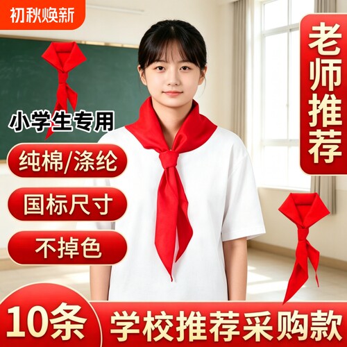 红领巾小学生儿童通用国际标准