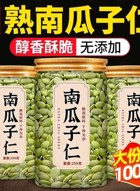 南瓜子仁500g罐装去壳原味新货无壳南瓜子熟南瓜籽仁健康去皮优质