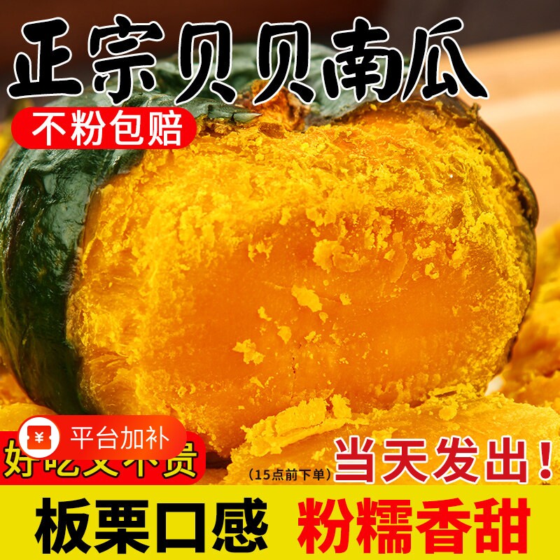 贝贝南瓜板栗小南瓜5正宗斤新鲜老南瓜粉糯香甜宝宝辅食蔬菜10