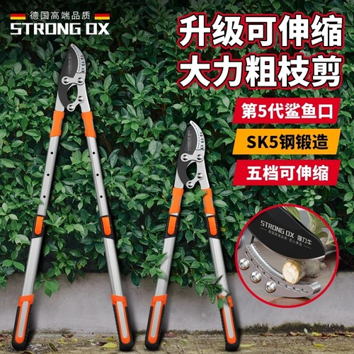 德国进口园林工具剪粗枝剪果树修枝强力树枝剪大力剪省力修剪神器