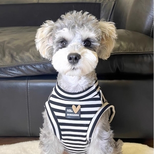 黑白条纹无袖 宠物猫狗衣服夏季 背心室内防掉毛中小大型犬