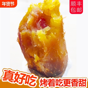 南沙一点红番薯产地直发广州沙地红薯火锅食材地瓜蔬菜顺丰包邮