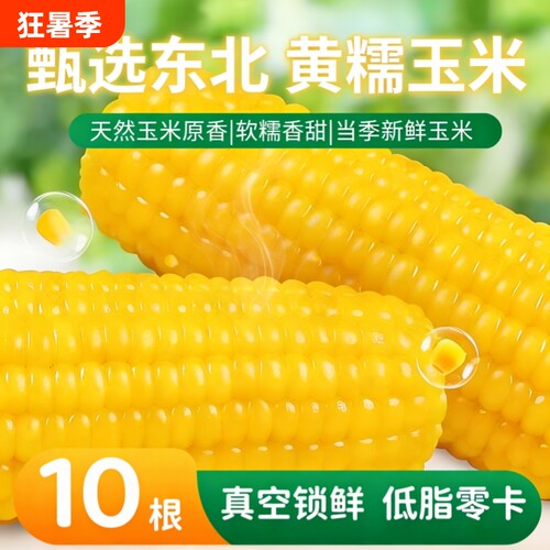 正宗东北黄糯玉米新货真空装黄现摘黏糯新鲜甜玉米粒非即食香甜