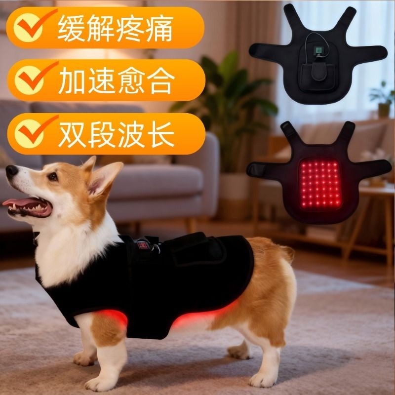 宠物红光理疗垫猫狗关节髌骨术后康复保健红外光疗后肢烤灯激光