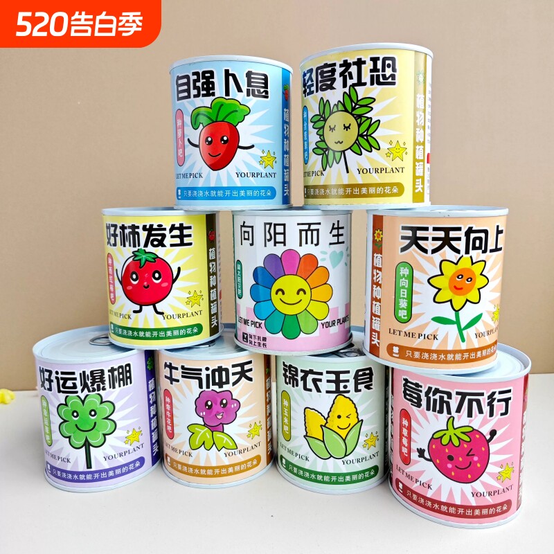 植物罐头盆栽儿童种植观察套装创意礼物桌面罐装绿植种草办公桌